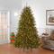 7.5ft. Pre-Lit PowerConnect™ Dunhill® Fir Tree Artificial Christmas Tree, Clear Lights